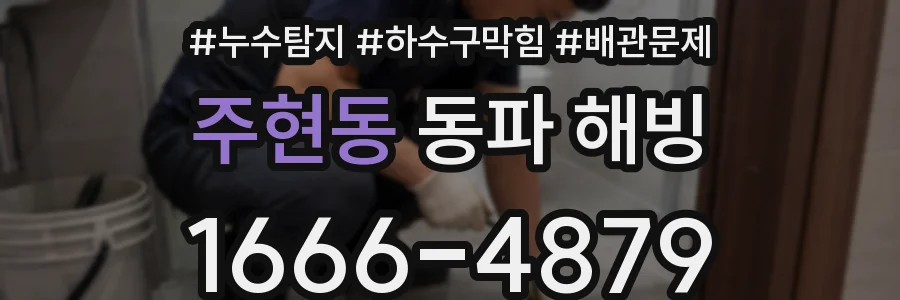 주현동 동파 해빙