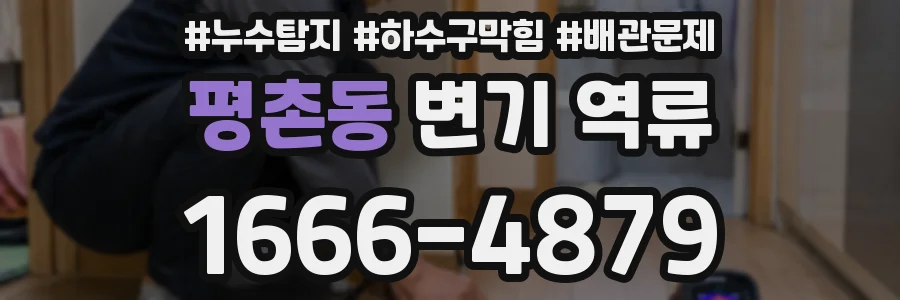 평촌동 변기 역류