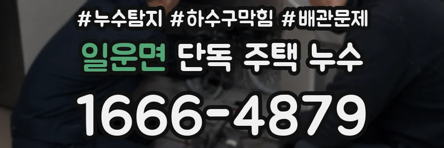 일운면 단독 주택 누수