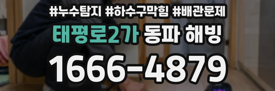 태평로2가 동파 해빙