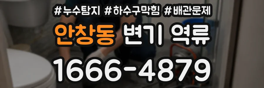 안창동 변기 역류