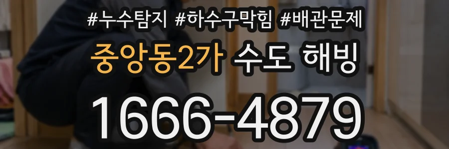 중앙동2가 수도 해빙