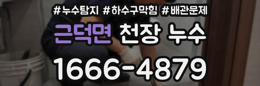 근덕면 천장 누수