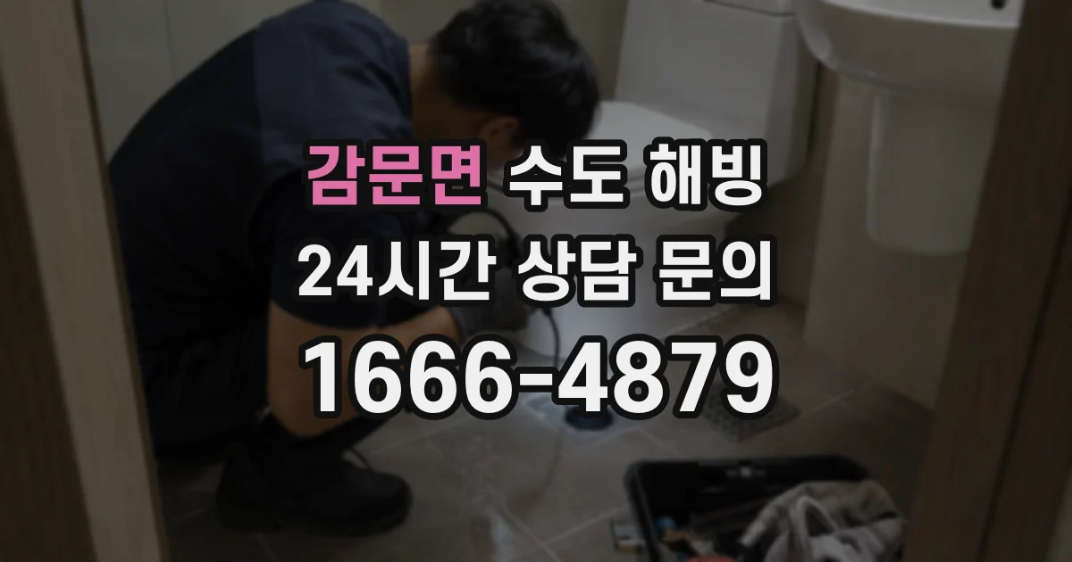 감문면 수도 해빙