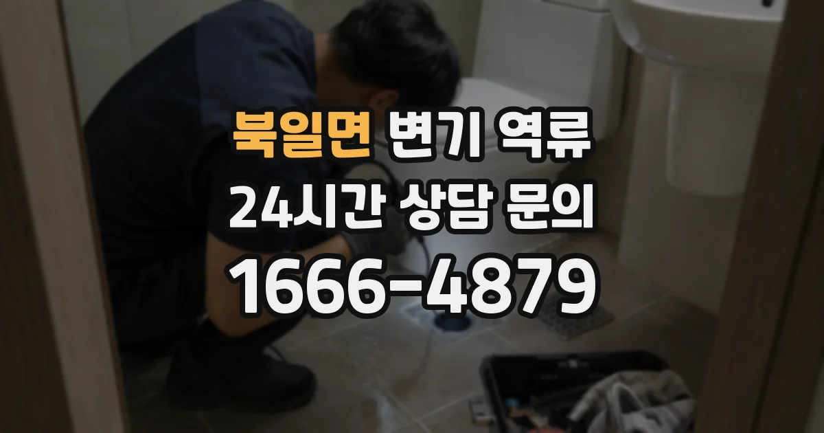 북일면 변기 역류