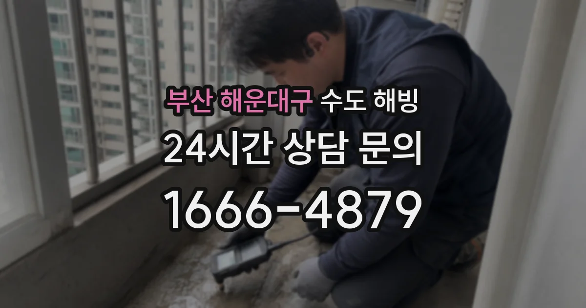 부산 해운대구 수도 해빙