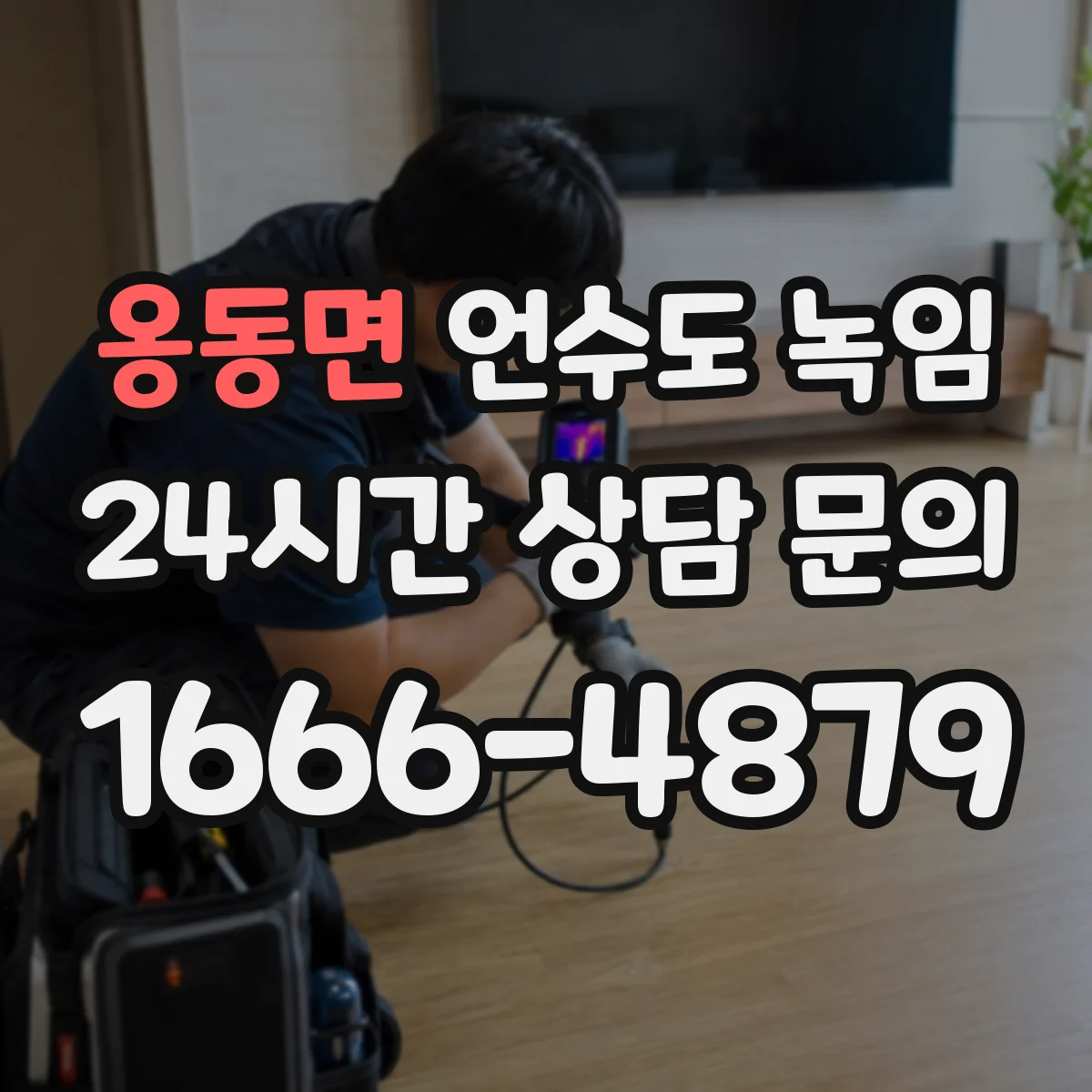 옹동면 언수도 녹임
