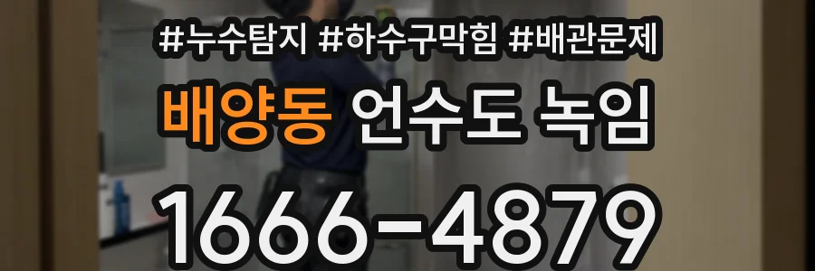 배양동 언수도 녹임