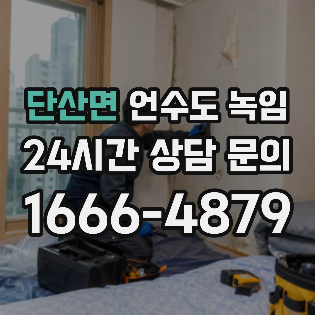 단산면 언수도 녹임