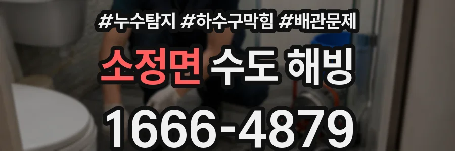 소정면 수도 해빙