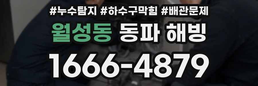 월성동 동파 해빙