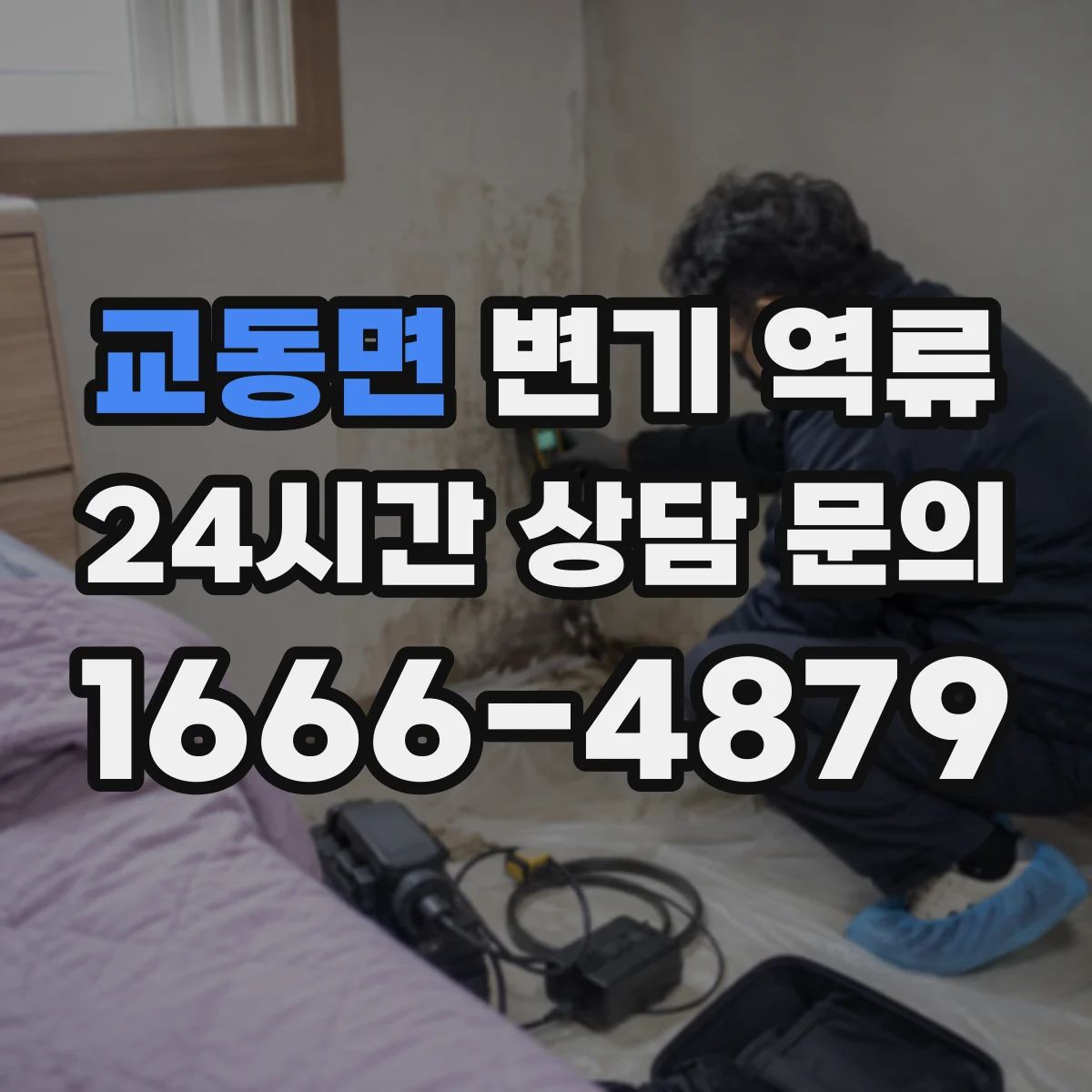 교동면 변기 역류