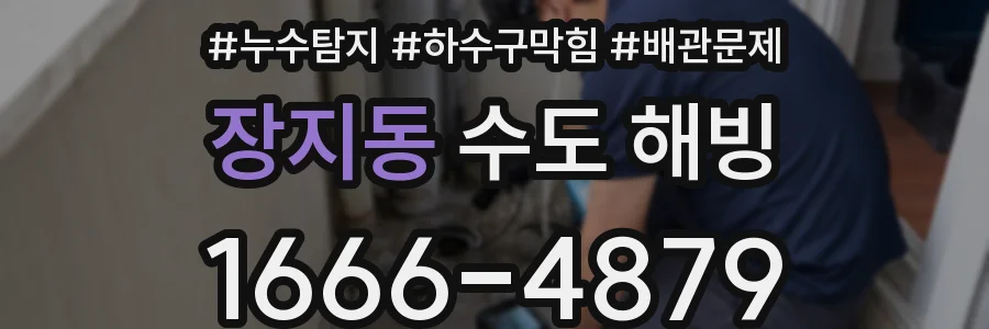장지동 수도 해빙