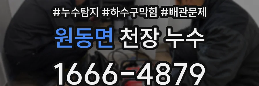원동면 천장 누수