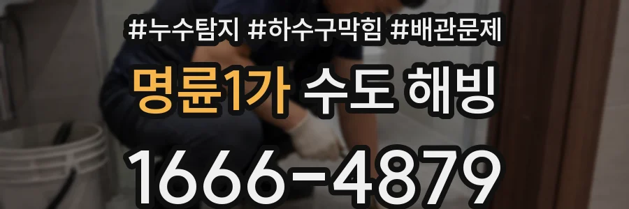 명륜1가 수도 해빙