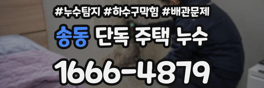 송동 단독 주택 누수
