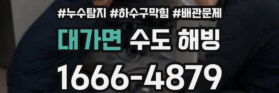 대가면 수도 해빙