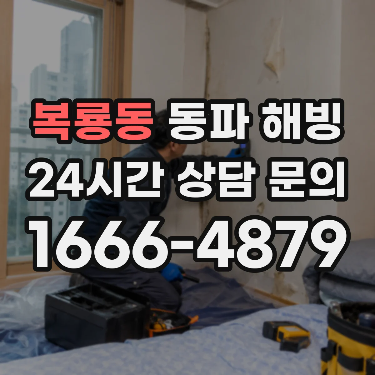 복룡동 동파 해빙