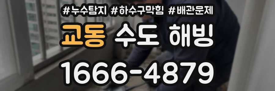 교동 수도 해빙