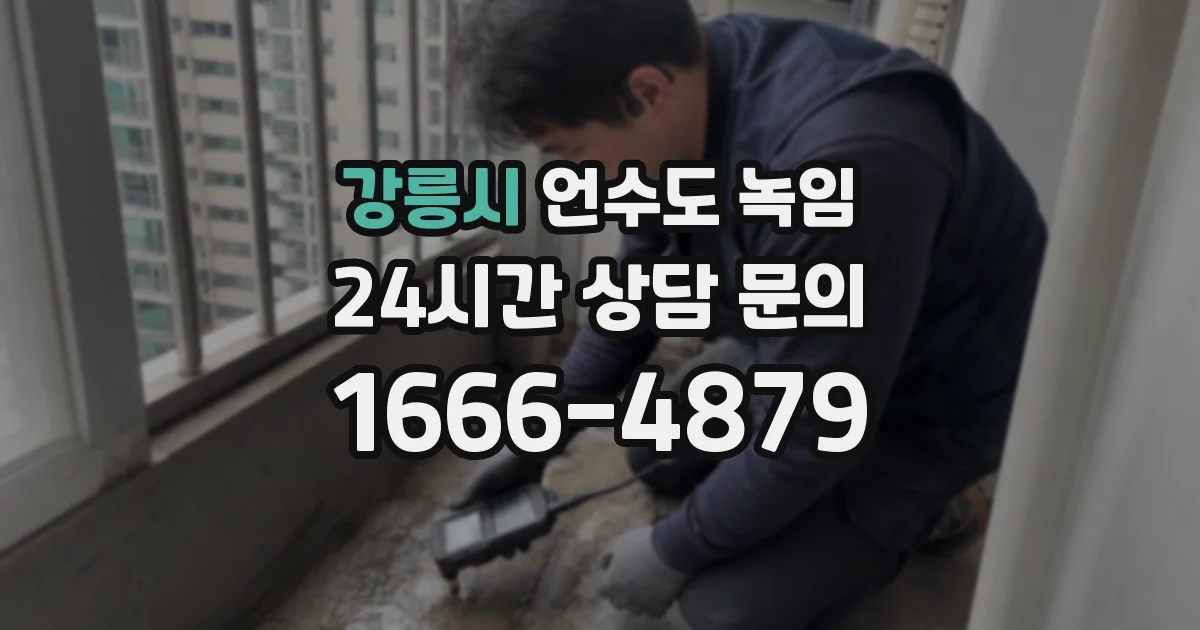 강릉시 언수도 녹임