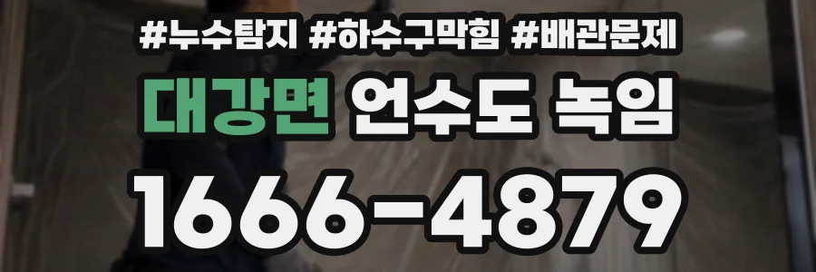 대강면 언수도 녹임