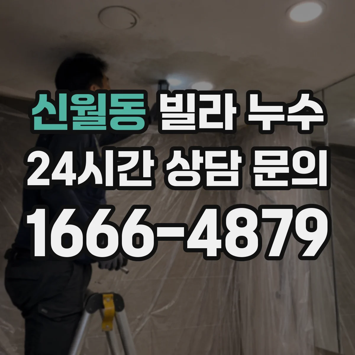 신월동 빌라 누수