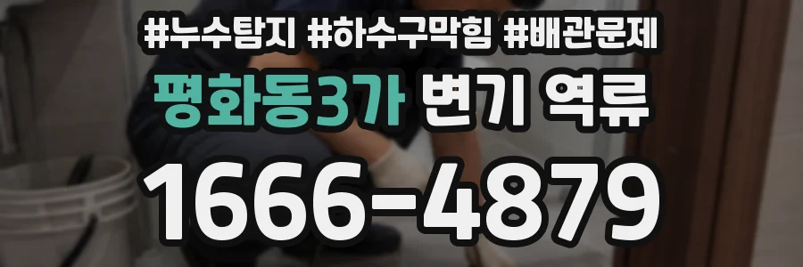 평화동3가 변기 역류