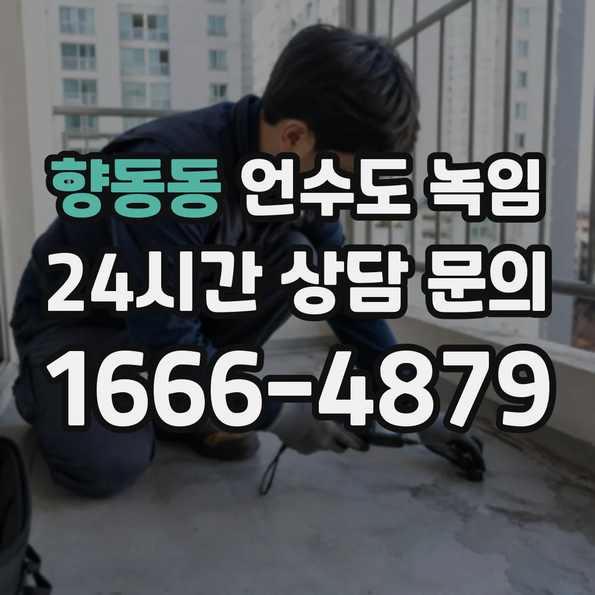 향동동 언수도 녹임