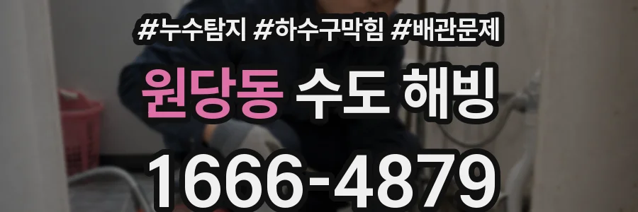 원당동 수도 해빙