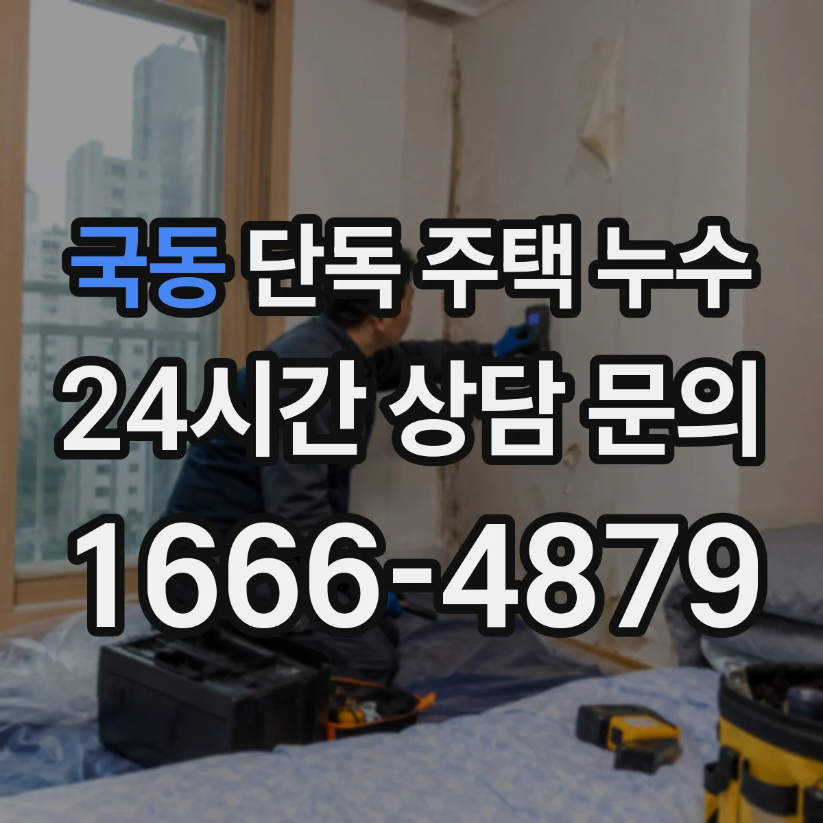 국동 단독 주택 누수