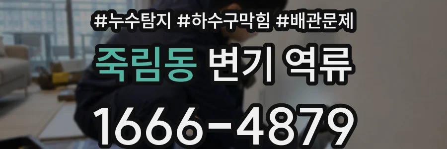 죽림동 변기 역류