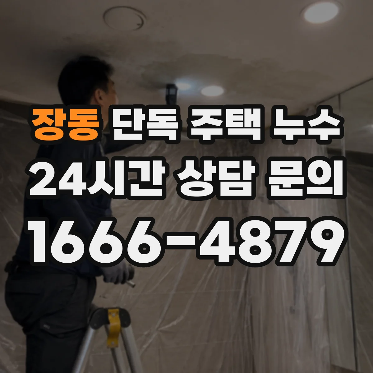 장동 단독 주택 누수