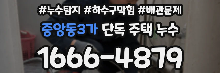 중앙동3가 단독 주택 누수