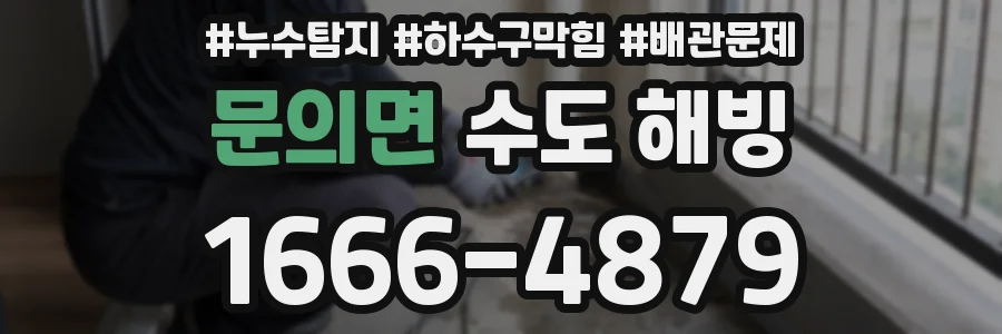 문의면 수도 해빙