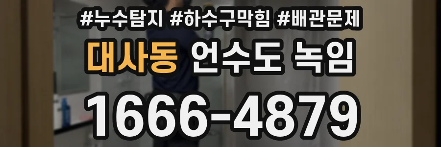 대사동 언수도 녹임