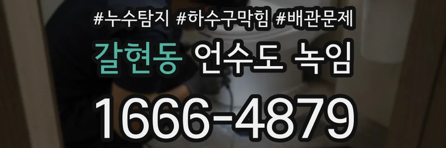 갈현동 언수도 녹임