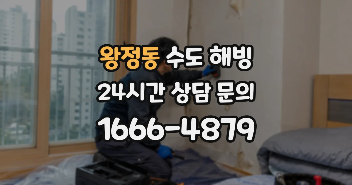 왕정동 수도 해빙