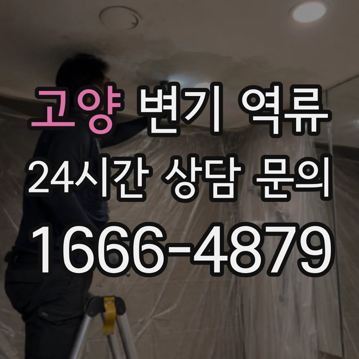 고양 변기 역류 공용관 막힘이 의심될 때 살펴볼 부분