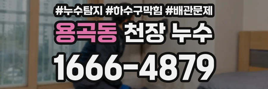 용곡동 천장 누수
