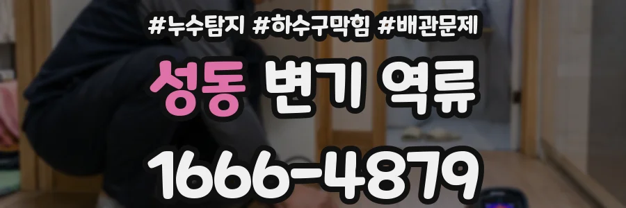 성동 변기 역류