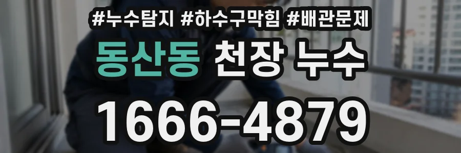 동산동 천장 누수