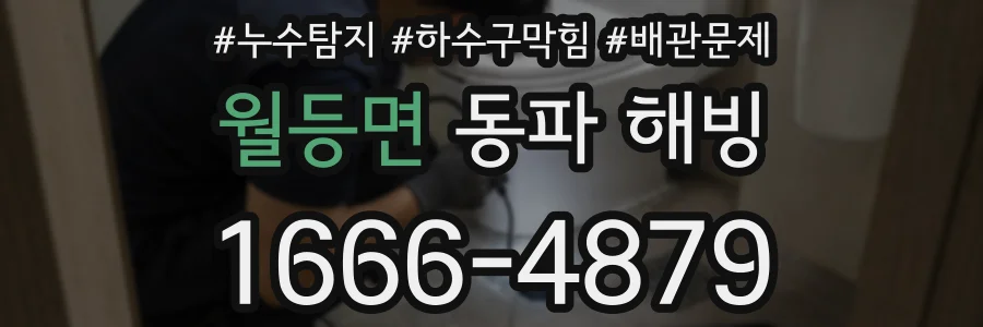 월등면 동파 해빙