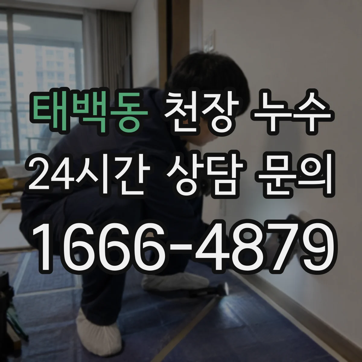 태백동 천장 누수