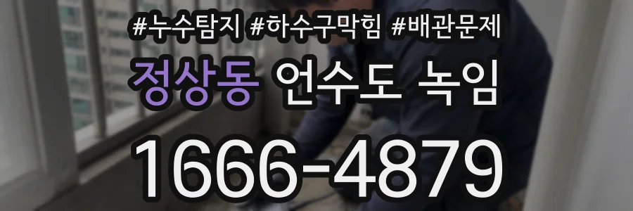 정상동 언수도 녹임