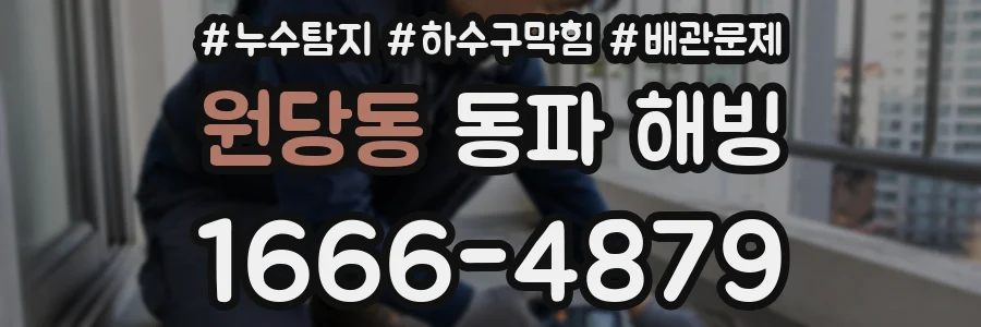 원당동 동파 해빙