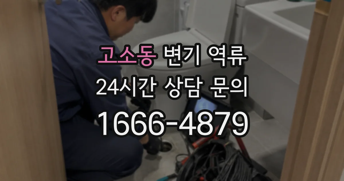 고소동 변기 역류
