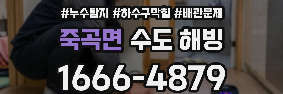 죽곡면 수도 해빙
