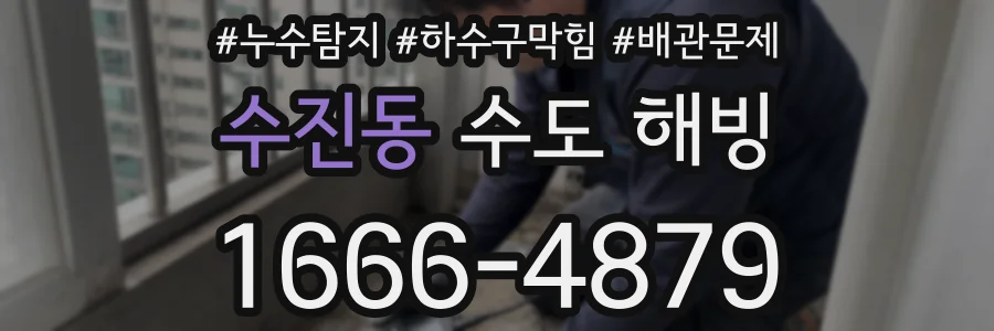 수진동 수도 해빙