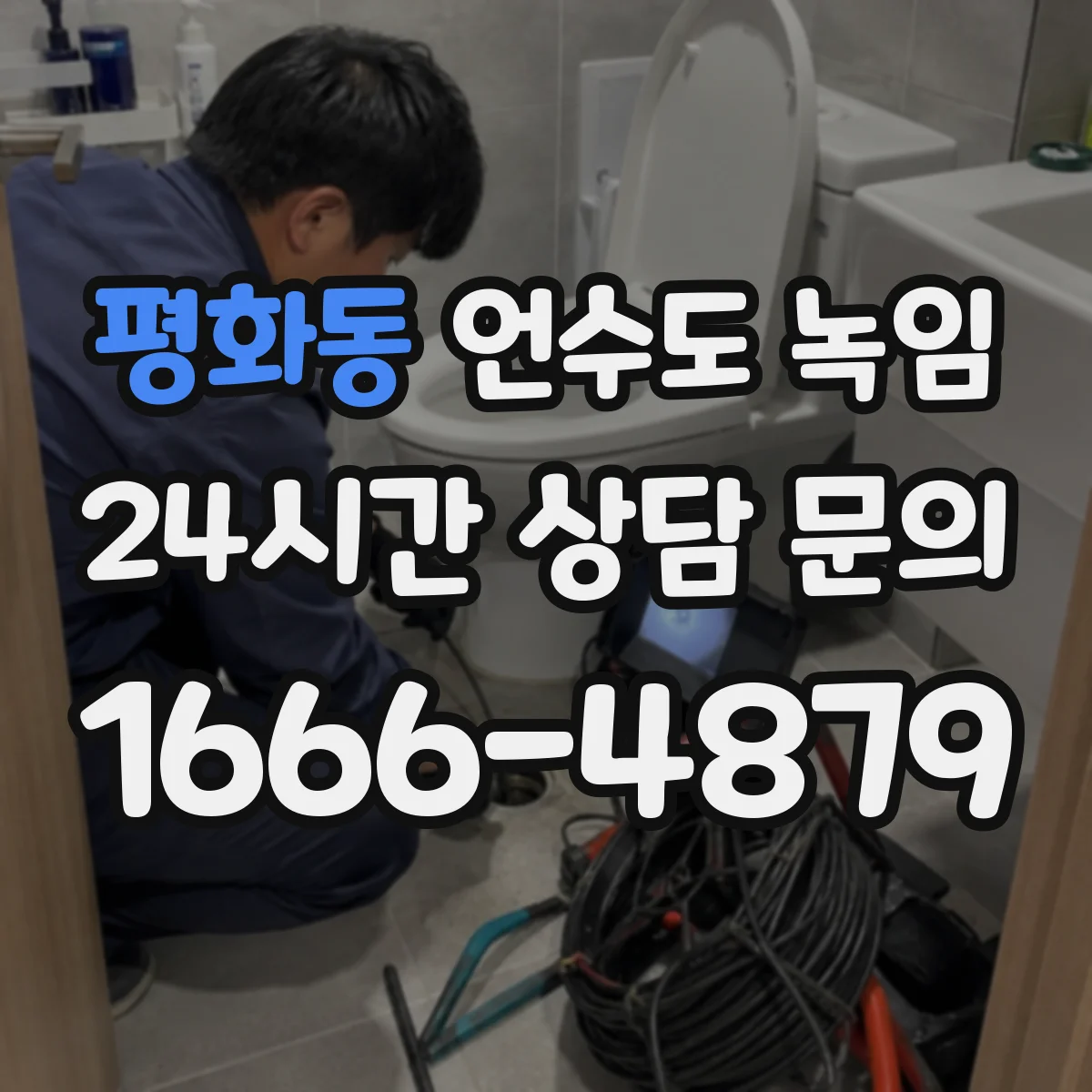 평화동 언수도 녹임