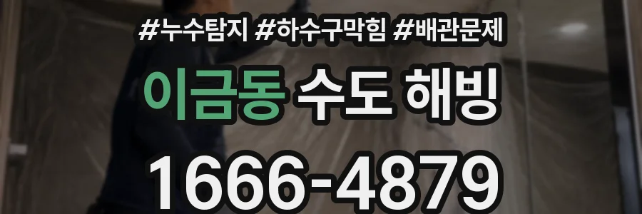 이금동 수도 해빙